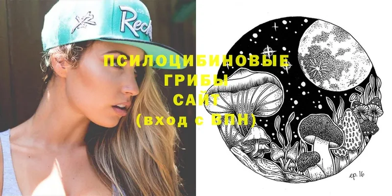 Псилоцибиновые грибы Psilocybe  Камышлов 